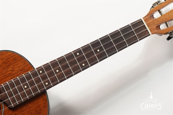 HM-T Custom
